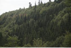 Photo of Mixed Textures